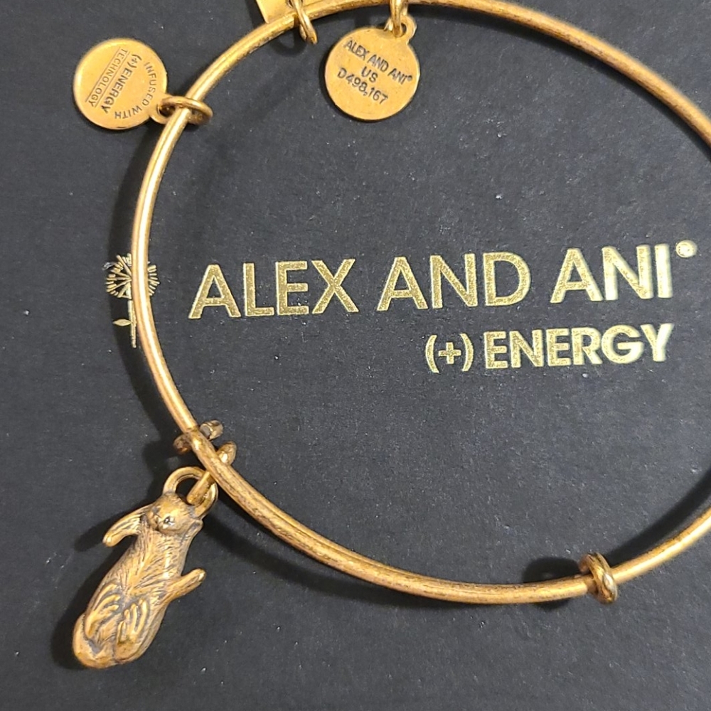 ⚠️ Discontinued Alex and Ani Otter Bangle (RG)